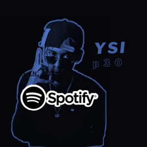 Ysi p30
