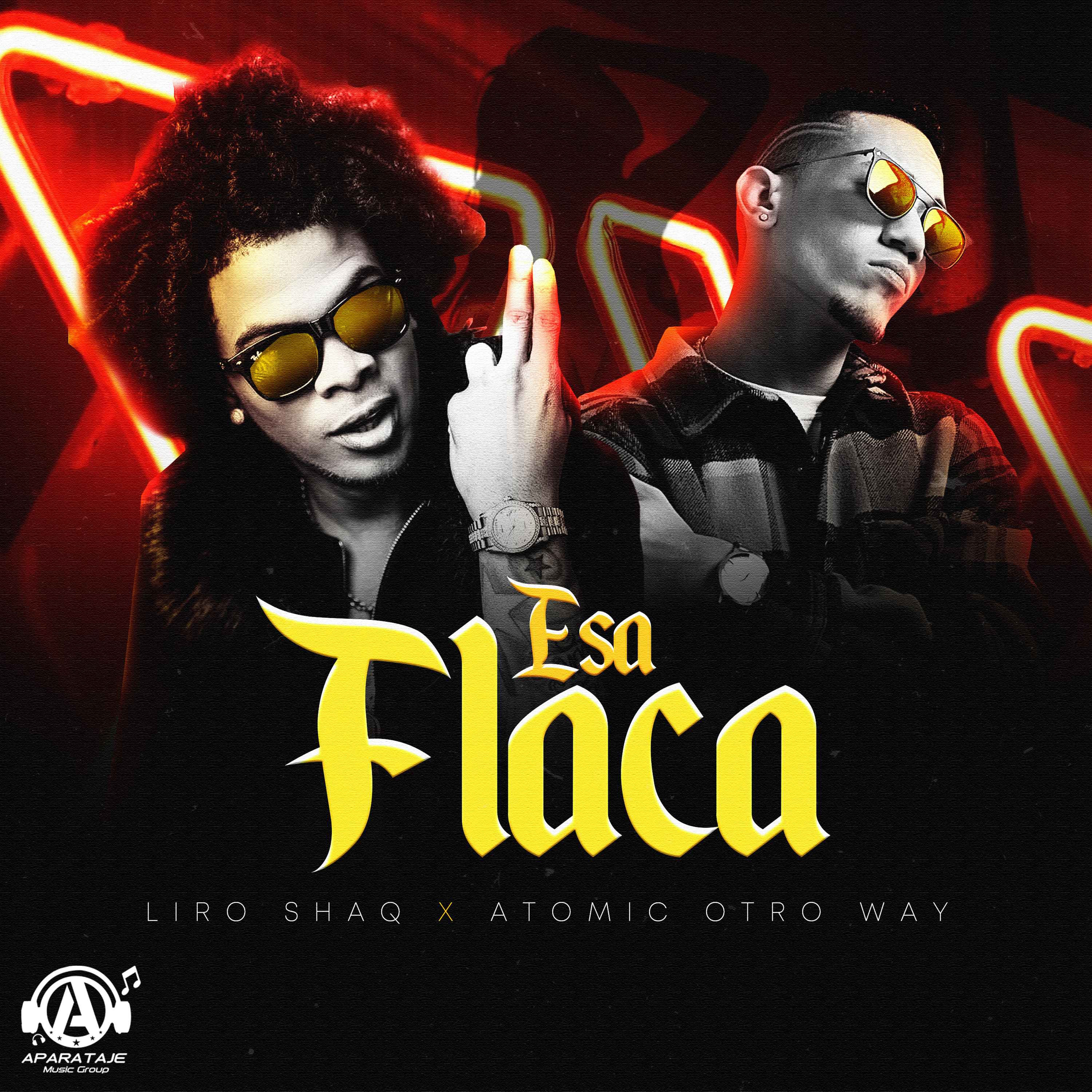 Portada de Esa Flaca
