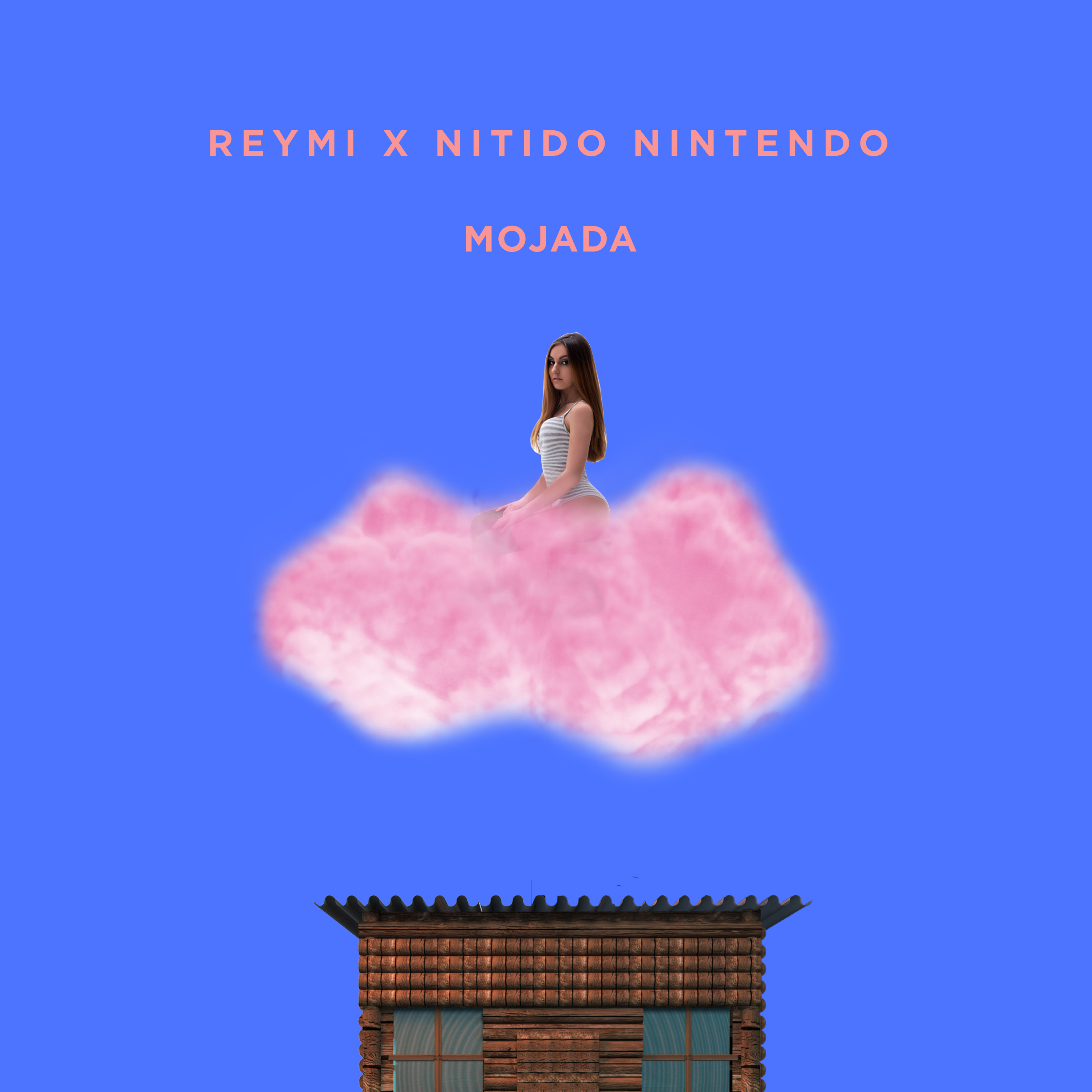 Portada de Mojada