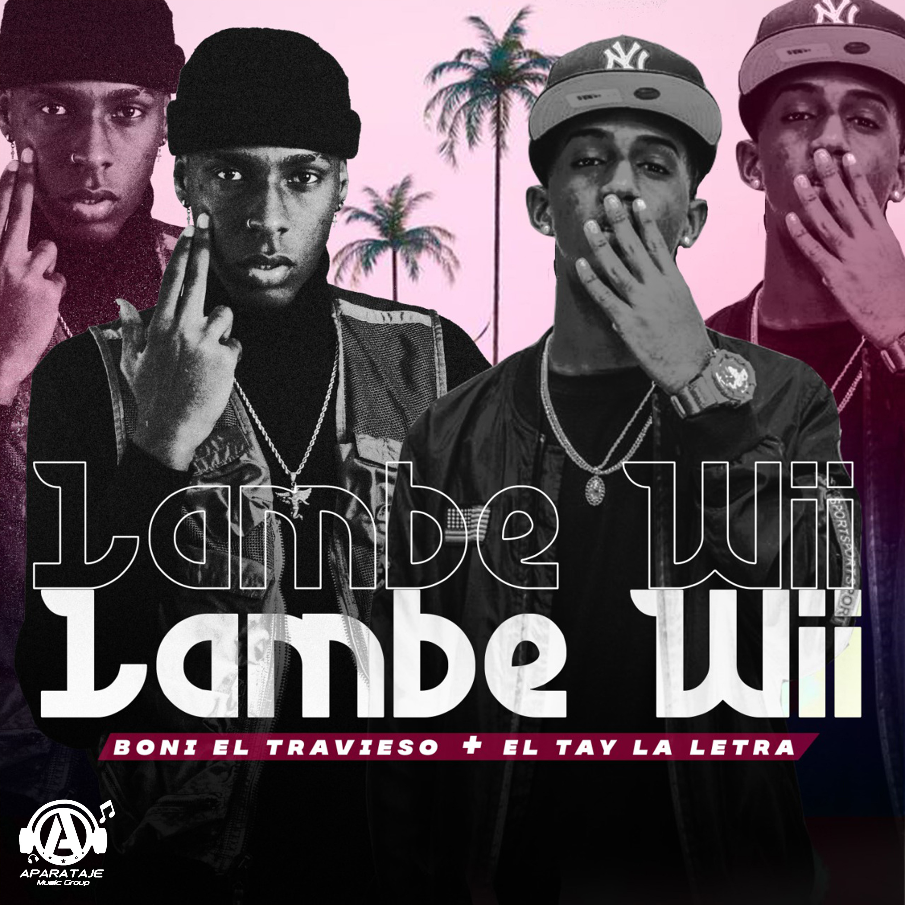 Portada de Lambe Wii