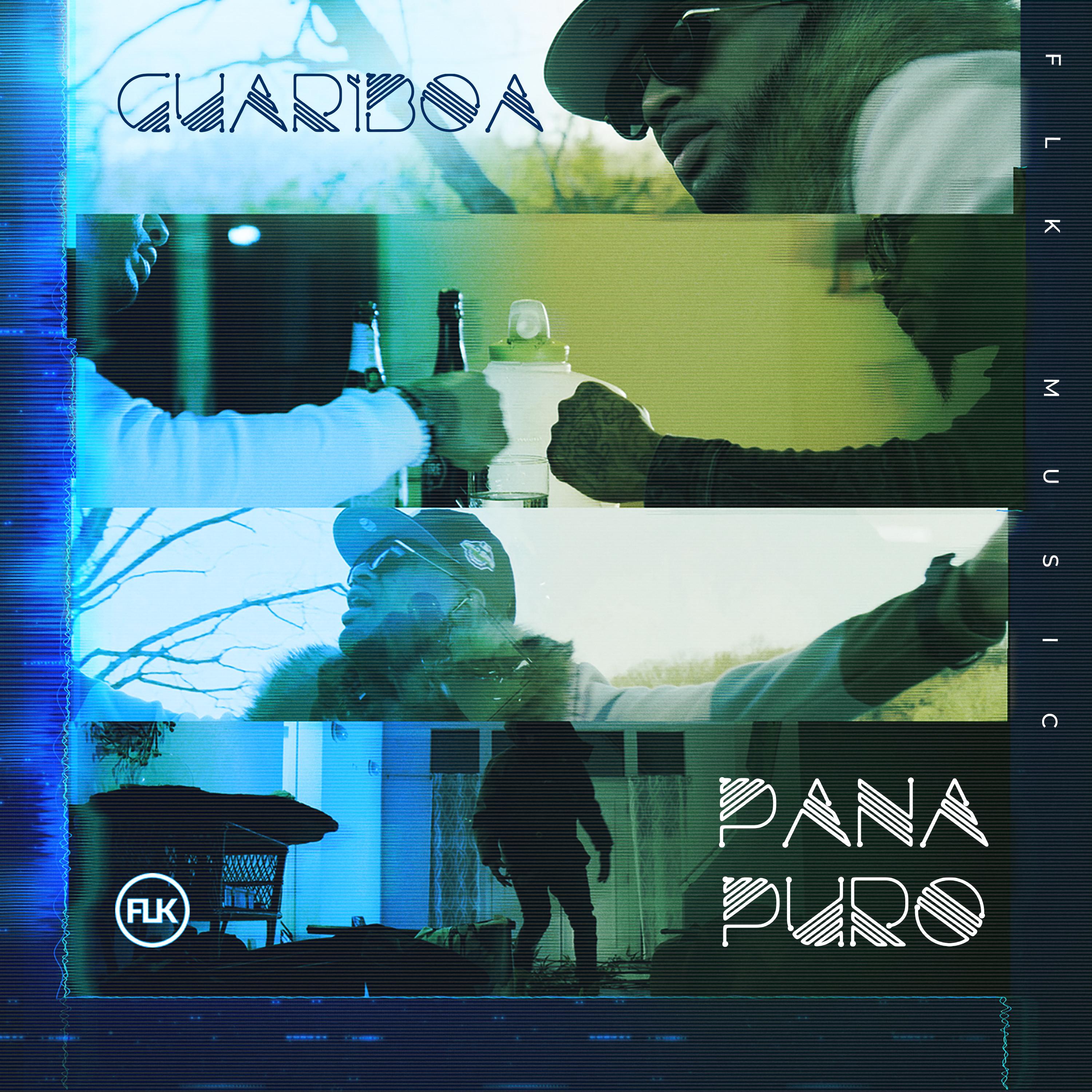 Portada de Pana Puro