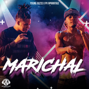 Marichal - PV Aparataje