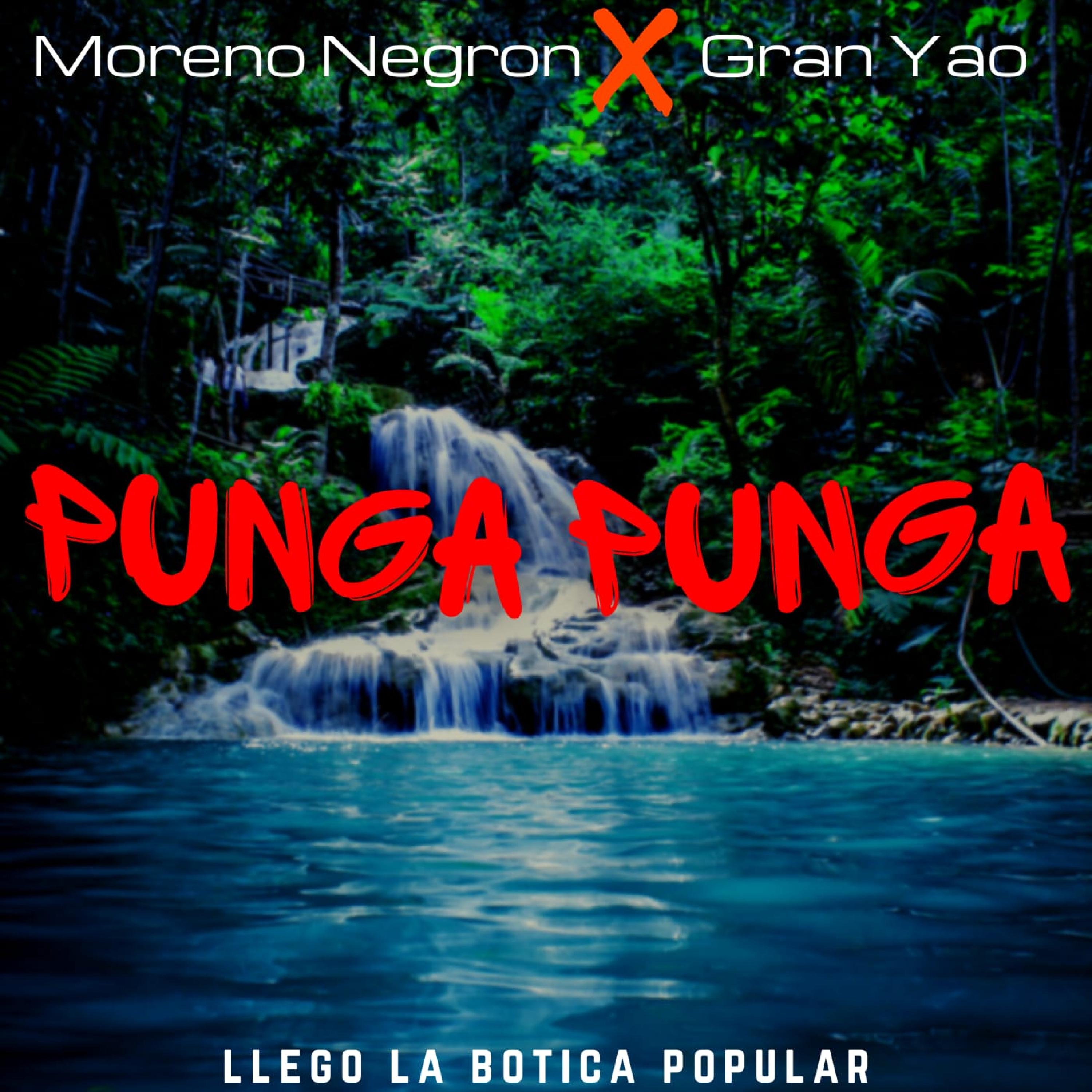 Portada de Punga Punga