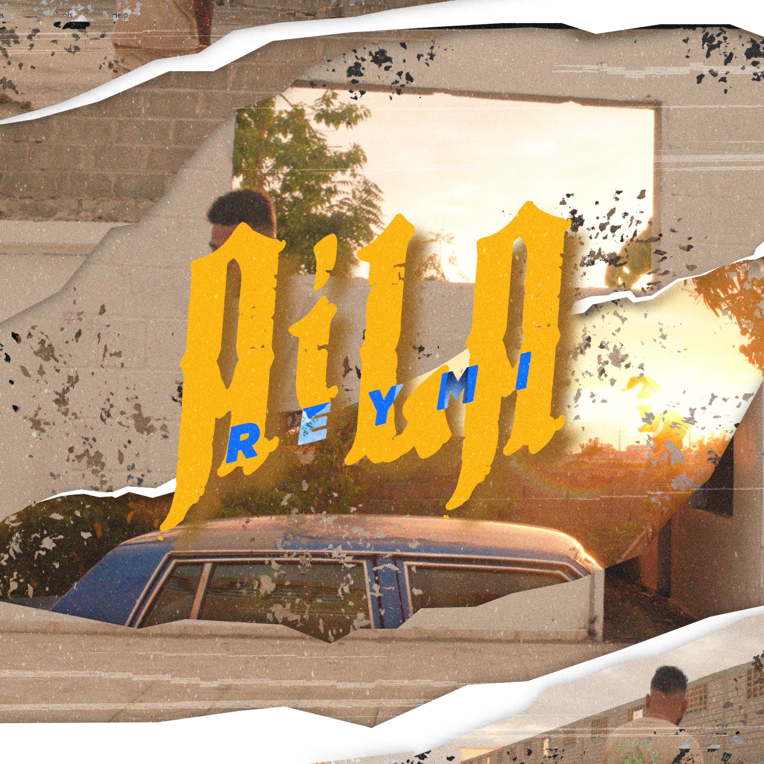 Portada de AILA
