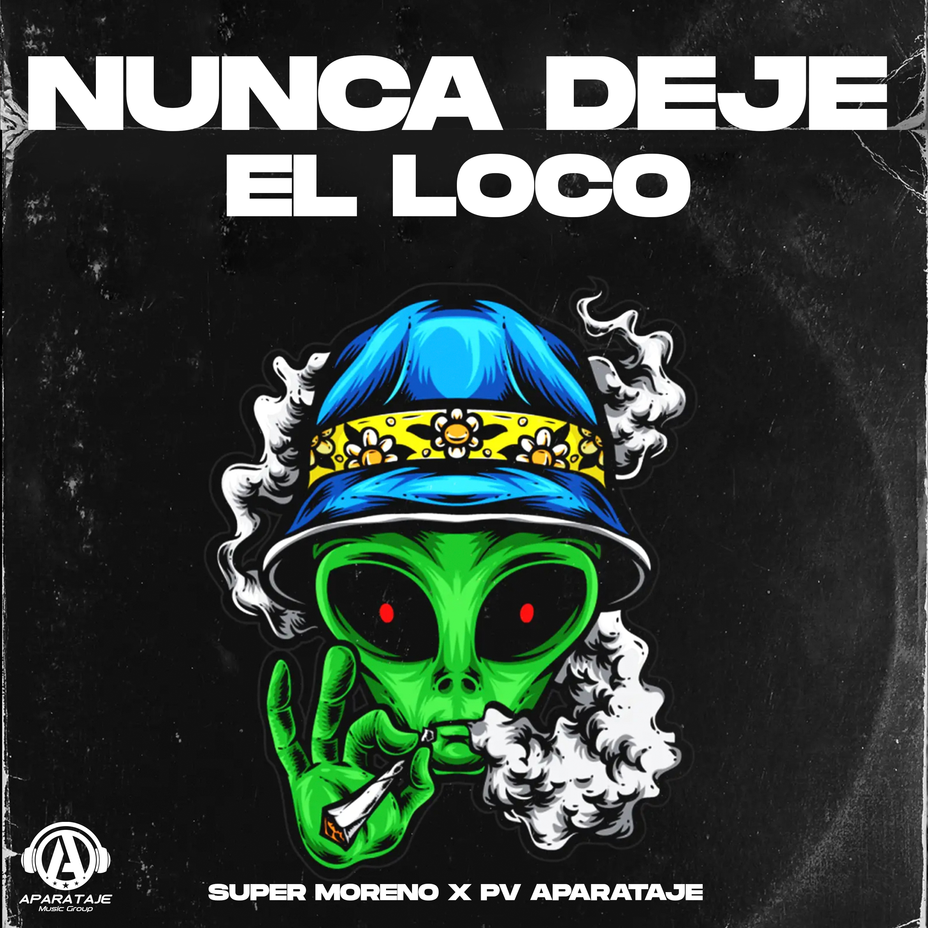 Portada de Nunca Deje El Loco