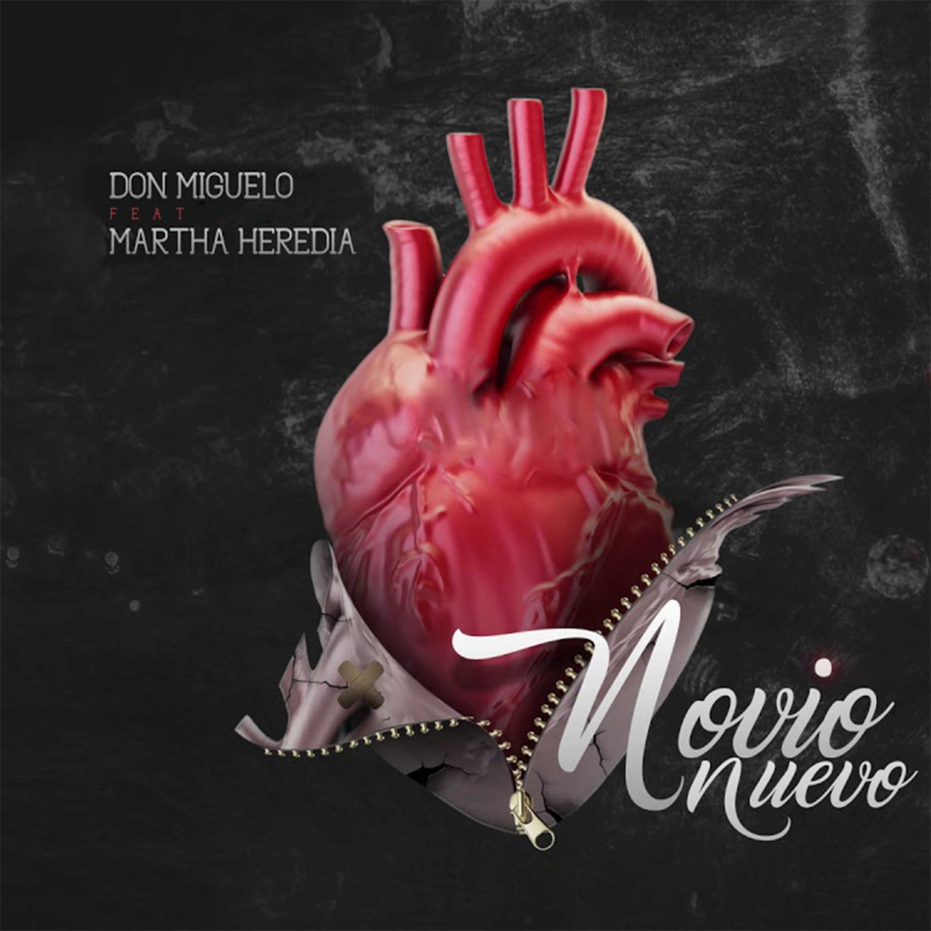 Portada de Novio Nuevo