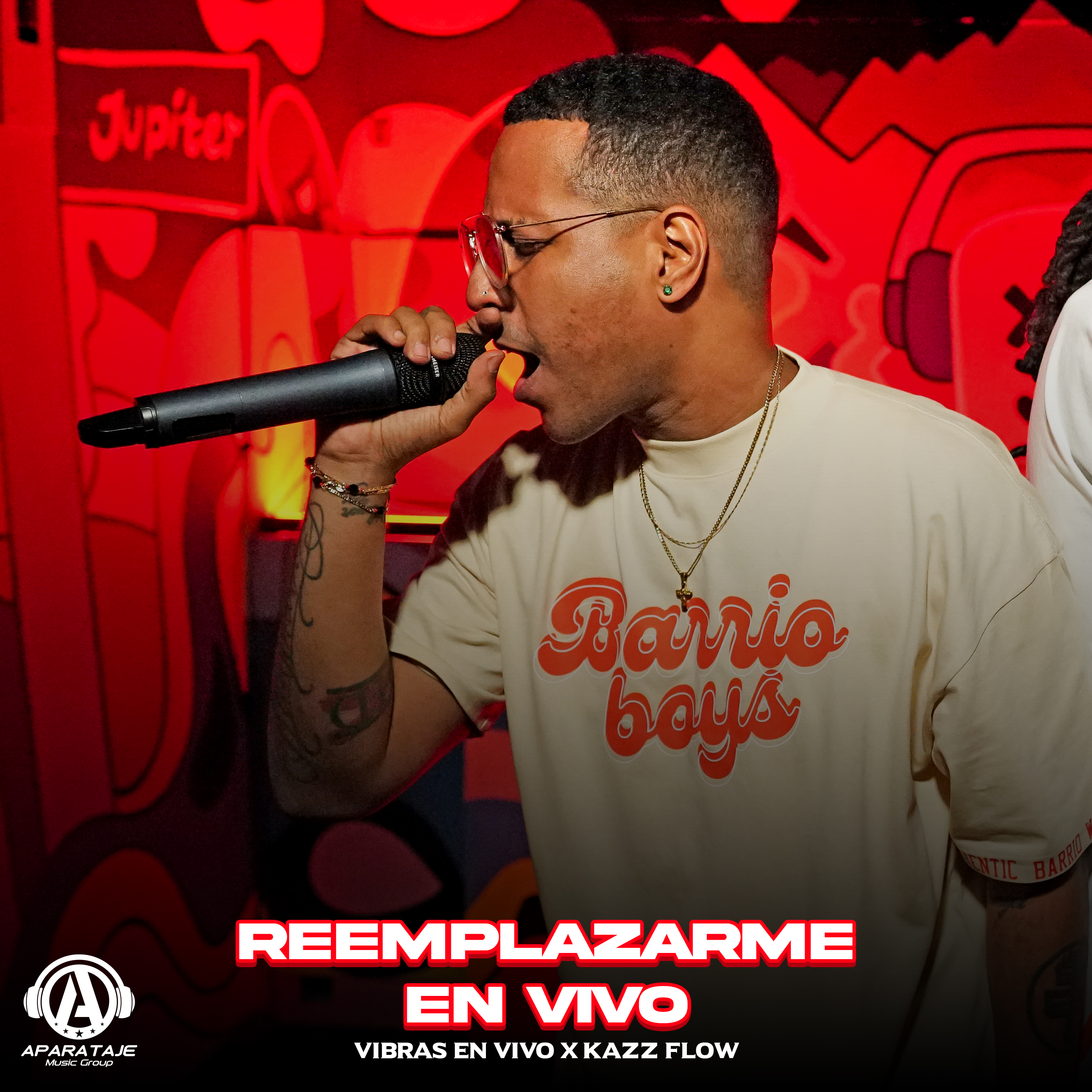 Portada de Reemplazarme