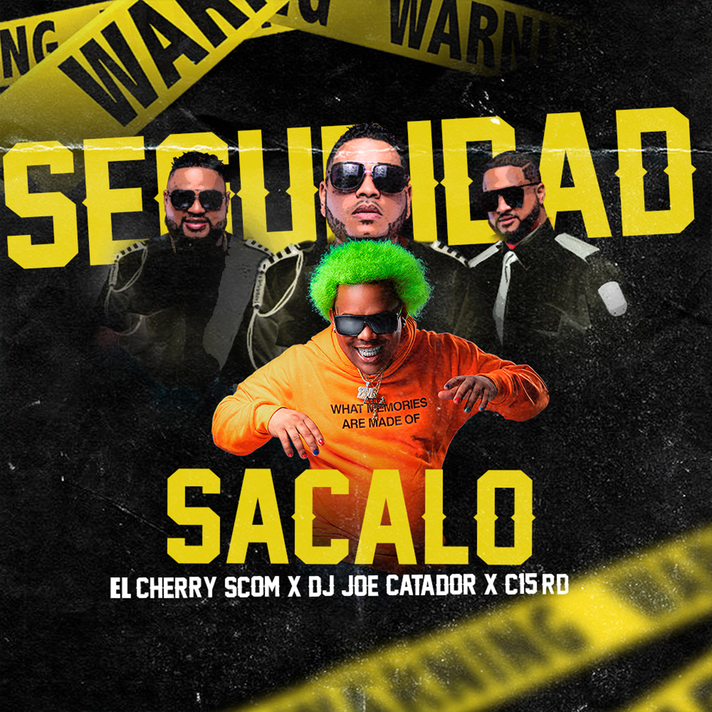 Portada de SEGURIDAD SACALO